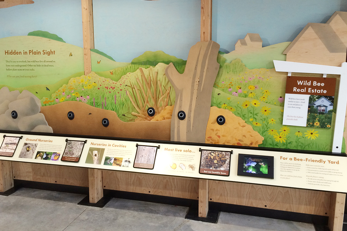 wild bee real estate exhibit